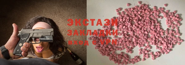 ECSTASY Бородино